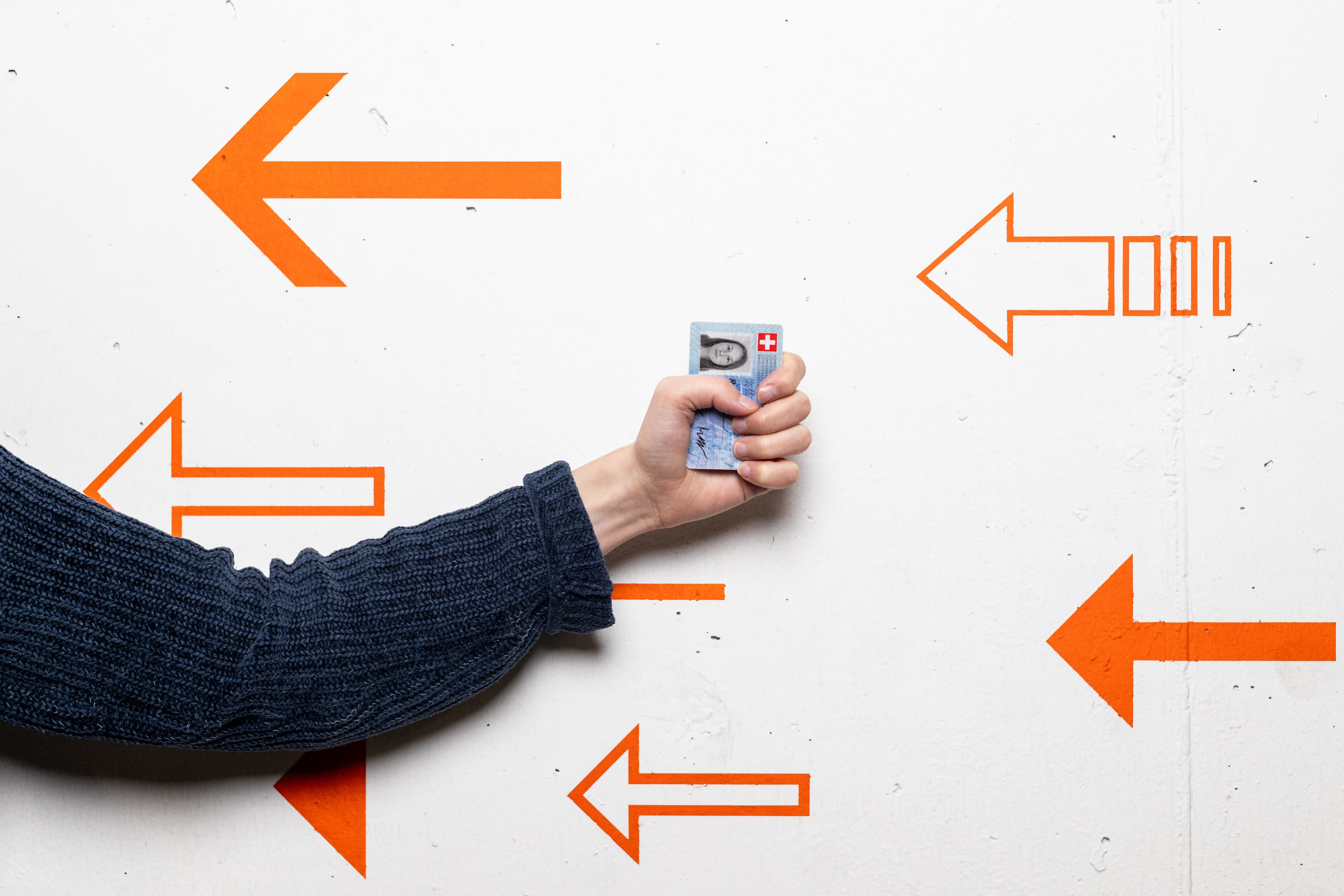 Bild Demokratie für alle von Pawel Streit