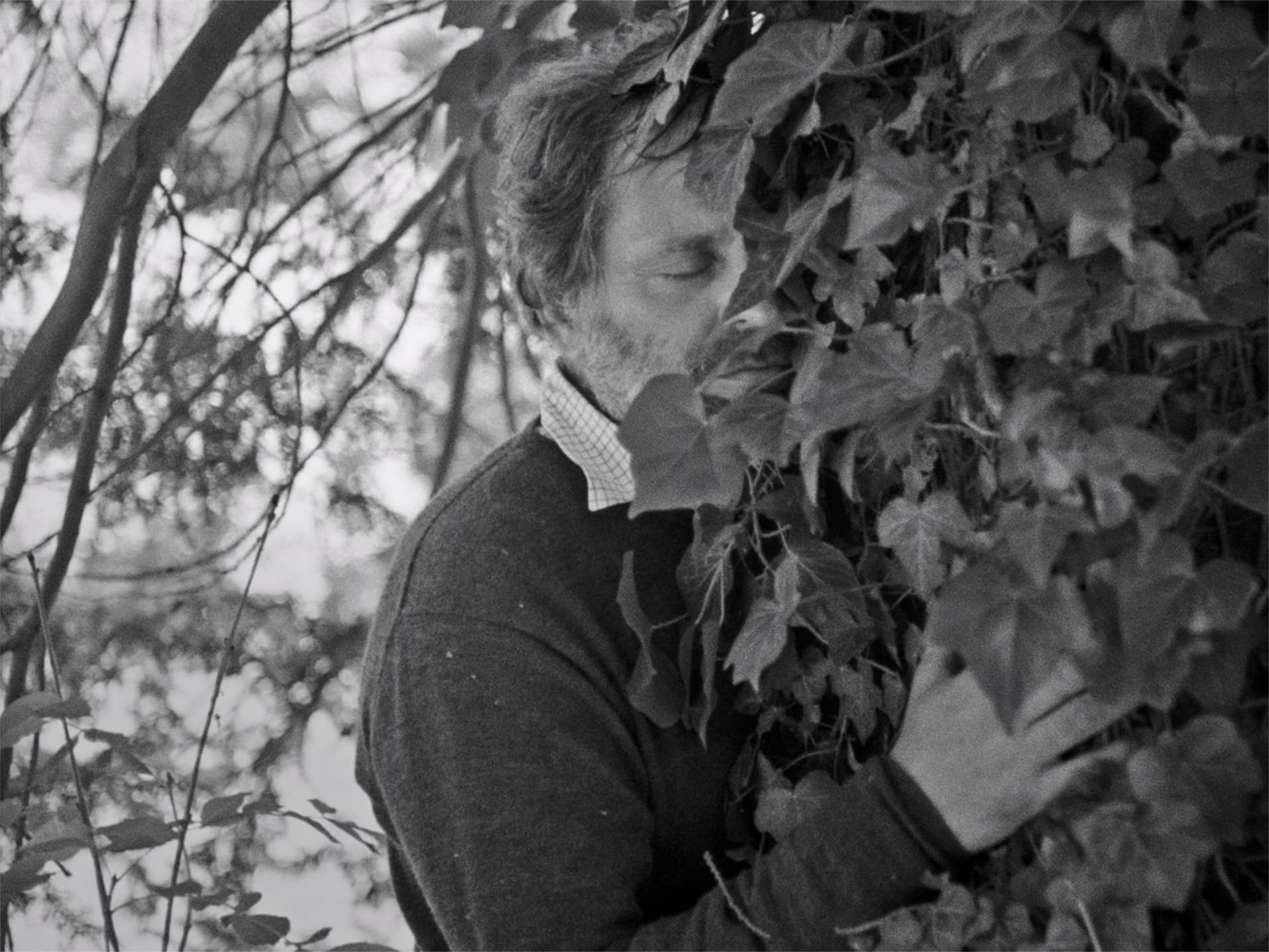 Still Electric Fields Vinca Film