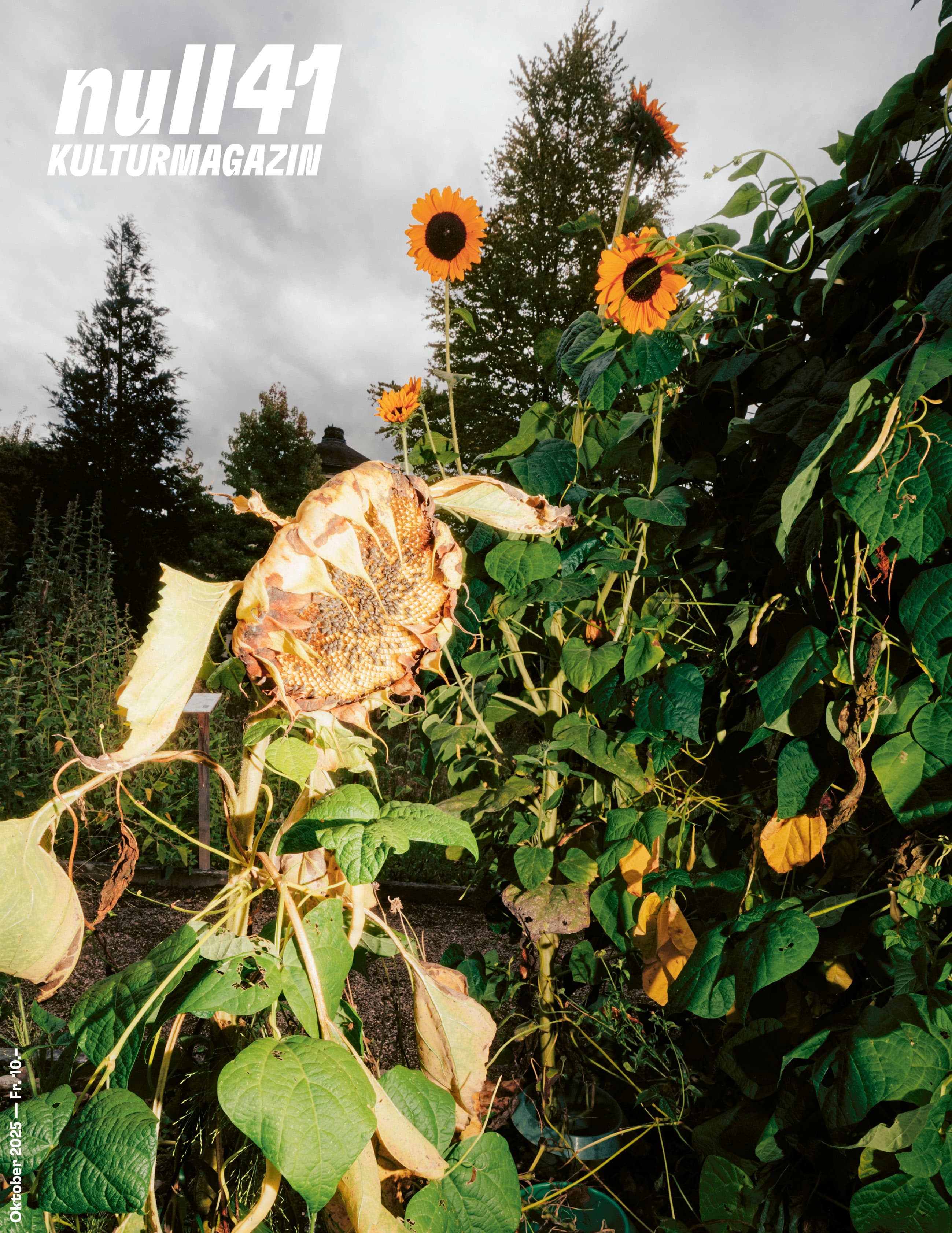null41 Kulturmagazin Oktober 2025
