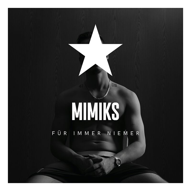 mimiks-fin-cover-1