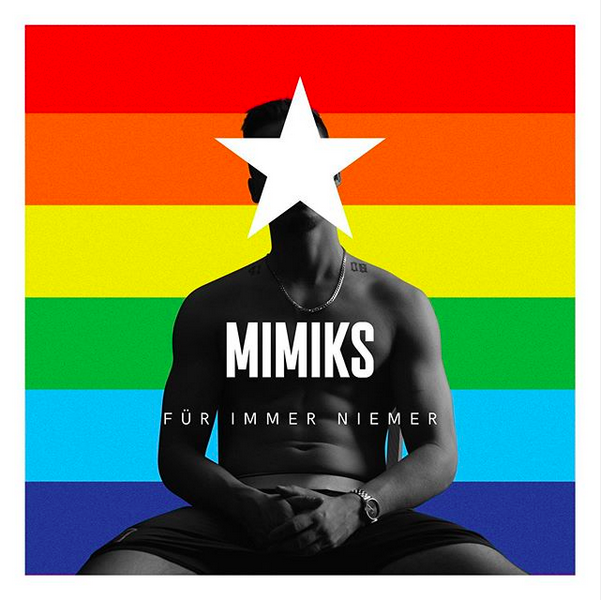 mimiks-fin-cover-2